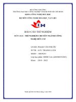 BÁO cáo THÍ NGHIỆM môn học THÍ NGHIỆM CHUYÊN NGÀNH CÔNG NGHỆ hữu cơ các yếu tố ẢNH HƯỞNG đến độ bền NHŨ TƯƠNG 