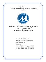 Bài tiểu luận môn nguyên lý marketing 2021 về sản phẩm của durex 