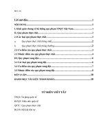 Phân tích các loại quy phạm tư pháp quốc tế. ( Tiểu luận 9.5 điểm)