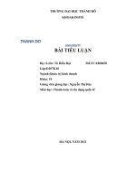 TIỂU LUẬN phân tích và thẩm định phương thức thanh toán cho một đơn vị xuất nhập khẩu bất kì 
