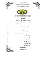 BÁO cáo kết THÚC học PHẦN NHIÊN LIỆU và dầu mỡ đối TƯỢNG KHẢO sát tàu cá 