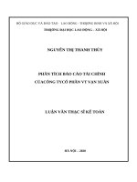 PHÂN TÍCH BÁO CÁO TÀI CHÍNH CỦA CÔNG TY CỔ PHẦN VT VẠN XUÂN