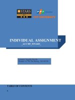 INDIVIDUAL ASSIGNMENT 