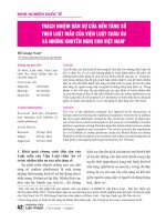 Trách nhiệm dân sự của nền tảng số theo luật mẫu của Viện Luật châu Âu và những khuyến nghị cho Việt Nam