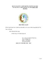 TIỂU LUẬN đề tài quyền được bảo vệ danh dự, nhân phẩm, uy tín, của cá nhân trong pháp luật việt nam và thế giới