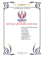 BÁO cáo môn THỰC tập CHẾ BIẾN LƯƠNG THỰC CÔNG NGHỆ sản XUẤT mì sợi 