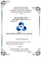 TIỂU LUẬN tác ĐỘNG TIÊU cực của NGÀNH xây DỰNG đối với môi TRƯỜNG XUNG QUANH 