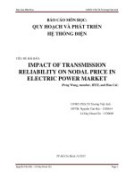 BÁO cáo môn học QUY HOẠCH VÀ PHÁT TRIỂN HỆ THỐNG ĐIỆN