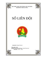 SỔ LIÊN đội TRƯỜNG TIỂU học năm học 2022   2023