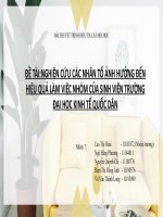 TIỂU LUẬN NGHIÊN CỨU CÁC NHÂN TỐ ẢNH HƯỞNG ĐẾN HIỆU QUẢ LÀM VIỆC NHÓM CỦA SINH VIÊN TRƯỜNG ĐẠI HỌC KINH TẾ QUỐC DÂN
