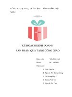 TIỂU LUẬN KHỞI SỰ KINH DOANH