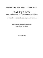 HỌC PHẦN KINH tế CHÍNH TRỊ mác LÊNIN đề tài CÔNG NGHIỆP hóa, HIỆN đại hóa ở VIỆT NAM 