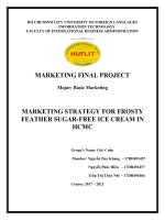 MARKETING STRATEGY FOR FROSTY FEATHER SUGAR FREE ICE CREAM IN HCMC 