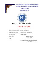 TIỂU LUẬN học PHẦN QUẢN TRỊ học PHÂN TÍCH môi TRƯỜNG KINH DOANH TỔNG CÔNG TY CP BIA rượu nước GIẢI KHÁT sài gòn (SABECO)  