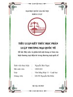 Phân tích nội dung cơ bản của luật thương mại điện tử trong thương mại quốc tế 11