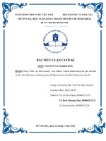 Chọn 1 lĩnh vực kinh doanh 1 sản phẩm 1 nhóm khách hàng mà bạn tâm đắt và đề xuất chiến lược marketing mix để đáp ứng nhu cầu khách hàng mục tiêu đó.