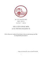 Phân tích nội dung cơ bản của luật thương mại điện tử trong thương mại quốc tế 9