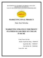 MARKETING STRATEGY FOR FROSTY FEATHER SUGAR FREE ICE CREAM IN HCMC 