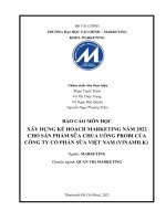 XÂY DỰNG kế HOẠCH MARKETING năm 2022 CHO sản PHẨM sữa CHUA UỐNG PROBI của CÔNG TY cổ PHẦN sữa VIỆT NAM (VINAMILK)