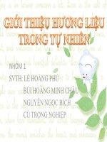 slide thuyết trình tiểu luận giới thiệu hương liệu trong tự nhiên