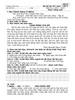 5 đề TIẾNG VIỆT+ 6 đề TOÁN lớp  2 kết nối TRI THỨC ôn tết 2022