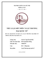 Phân tích nội dung cơ bản của luật thương mại điện tử trong thương mại quốc tế 6