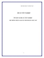 ĐỒ ÁN TỐT NGHIỆP HỆ THỐNG PHÂN LOẠI SẢN PHẨM BẰNG MÀU SẮC