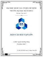 BÁO cáo bài tập lớn giải tích 2  chương 14 1 câu 56 