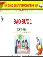Bài giảng môn Đạo đức lớp 1 sách Cánh diều năm học 2020-2021 - Bài 2: Gọn gàng, ngăn nắp (Trường Tiểu học Thạch Bàn B)