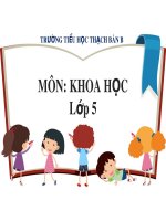 Bài giảng môn Khoa học lớp 5 năm học 2021-2022: Các giai đoạn của cuộc đời (Trường Tiểu học Thạch Bàn B)