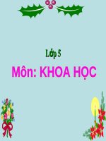 Bài giảng môn Khoa học lớp 5 năm học 2021-2022 - Bài 17: Thái độ đối với người nhiễm HIV/AIDS (Trường Tiểu học Thạch Bàn B)