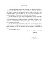Hoàn thiện chính sách giá nhằm thu hút khách du lịch nội địa của công cổ phần đầu tư dịch vụ Du lịch Việt Nam, Hà Nội
