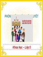 Bài giảng môn Khoa học lớp 5 năm học 2021-2022 - Bài 13: Phòng bệnh sốt xuất huyết (Trường Tiểu học Thạch Bàn B)
