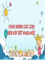 Bài giảng môn Khoa học lớp 5 năm học 2021-2022 - Bài 11: Dùng thuốc an toàn (Trường Tiểu học Thạch Bàn B)