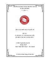 TIỂU LUẬN môn đầu tư QUỐC tế đề tài ưu đãi đầu tư CON DAO HAI lưỡi dẫn đến CUỘC ĐUA XUỐNG đáy 