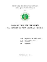 BÁO CÁO THỰC TẬP TỐT NGHIỆPTẠI CÔNG TY CỔ PHẦN VIỆT NAM MỘC BÀI