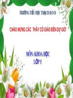 Bài giảng môn Khoa học lớp 5 năm học 2021-2022 - Bài 4: Cơ thể chúng ta được hình thành như thế nào? (Trường Tiểu học Thạch Bàn B)