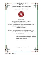 Lập mô hình phân tích sự ảnh hưởng của một số yếu tố đến tiền lương của CEO lập mô hình phân tích sự ảnh hưởng của một số yếu tố đến điểm trung bình môn tích lũy của sinh viên 