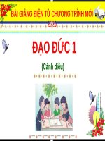 Bài giảng môn Đạo đức lớp 1 sách Cánh diều năm học 2020-2021 - Bài 5: Chăm sóc bản thân khi bị ốm (Trường Tiểu học Thạch Bàn B)