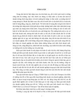 Nâng cao hiệu quả kinh doanh của Công ty TNHH Dịch vụ và Du lịch Vietrapro