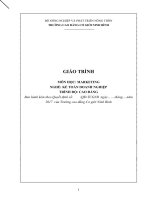 Giáo trình Marketing (Nghề Kế toán doanh nghiệp)