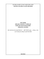Giáo trình Nguyên lý thống kê (Nghề Kế toán doanh nghiệp)