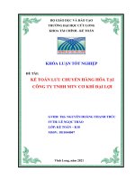 Kế toán lưu chuyển hàng hóa tại công ty tnhh mtv cơ khí đại lợi 