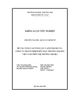 Nâng cao năng lực cạnh tranh của Công ty Trách Nhiệm Hữu Hạn Thương Mại DTS Việt Nam trên thị trường nội địa