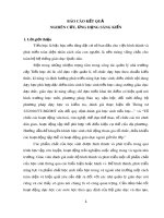 Sáng kiến kinh nghiệm Tiểu học: Một số kinh nghiệm quản lí nâng cao chất lượng hoạt động trải nghiệm sáng tạo trong trường tiểu học