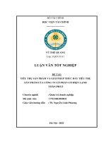 Tiêu thụ sản phẩm và giải pháp thúc đẩy tiêu thụ sản phẩm của công ty cổ phần cơ điện lạnh toàn phát luận văn tốt nghiệp  chuyên ngành quản trị doanh nghiệp 