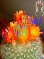 Bài giảng môn Tiếng Việt lớp 3 năm học 2020-2021 - Tuần 4: Chính tả Người mẹ (Trường Tiểu học Thạch Bàn B)