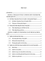 Chiến lược marketing quốc tế của pg cho sản phẩm pampers tại thị trường trung quốc