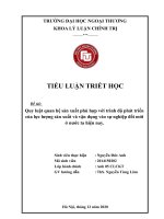 Quy luật quan hệ sản xuất phù hợp với trình độ phát triển của lực lượng sản xuất và vận dụng vào sự nghiệp đổi mới ở nước ta hiện nay