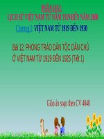 Phong trào dân tộc dân chủ ở việt nam từ năm 1919 đến năm 1925 (6) 